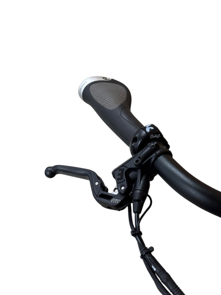 Riese & Müller Homage GT Rohloff E-Bike Refurbished Gebruikte fiets 