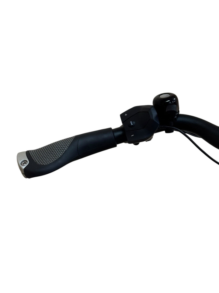 Riese & Müller Homage GT Rohloff E-Bike Refurbished Gebruikte fiets 