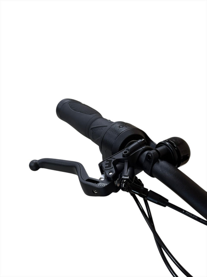 Riese & Müller Multicharger 2 Mixte GT Vario E-Bike Refurbished Gebruikte fiets