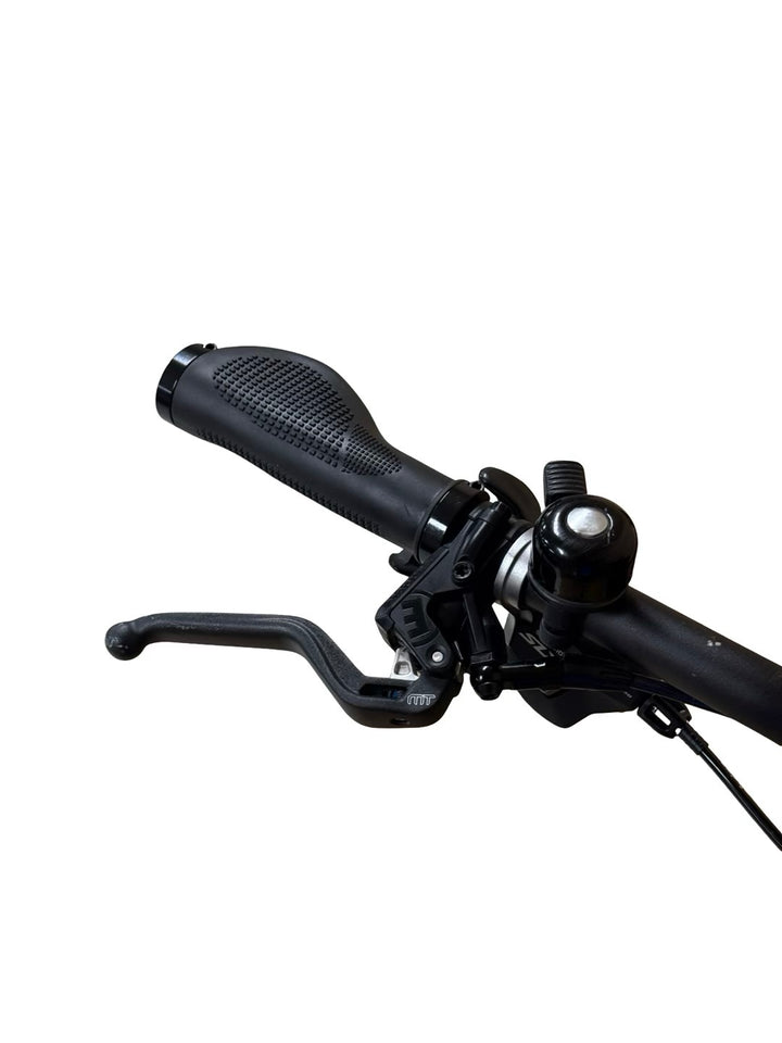 Riese & Müller Multicharger GT family E-Bike Refurbished Gebruikte fiets 