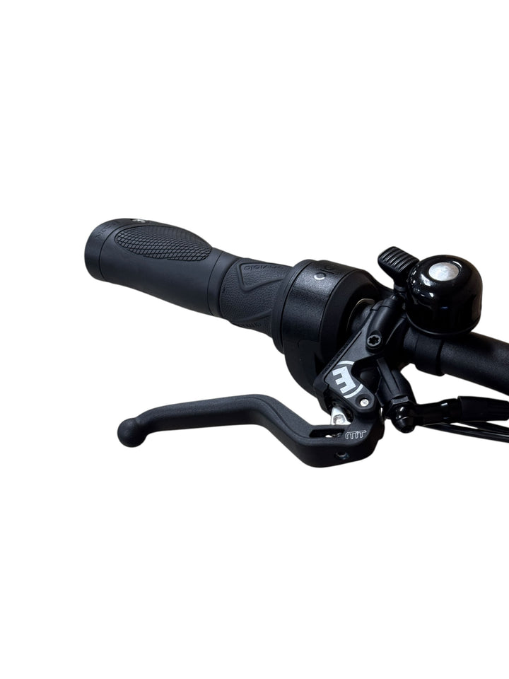 Riese & Müller Nevo4 GT vario E-Bike Refurbished Gebruikte fiets