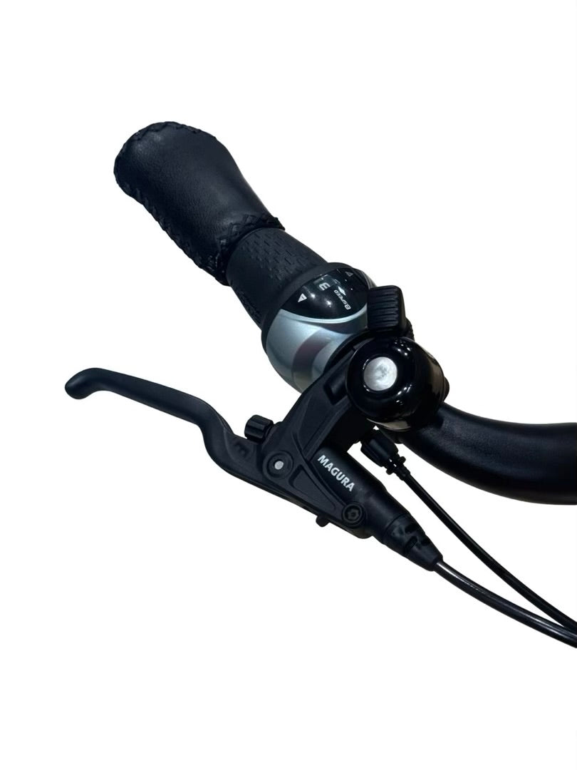Riese & Müller Swing4 Silent E-Bike Refurbished Gebruikte fiets 