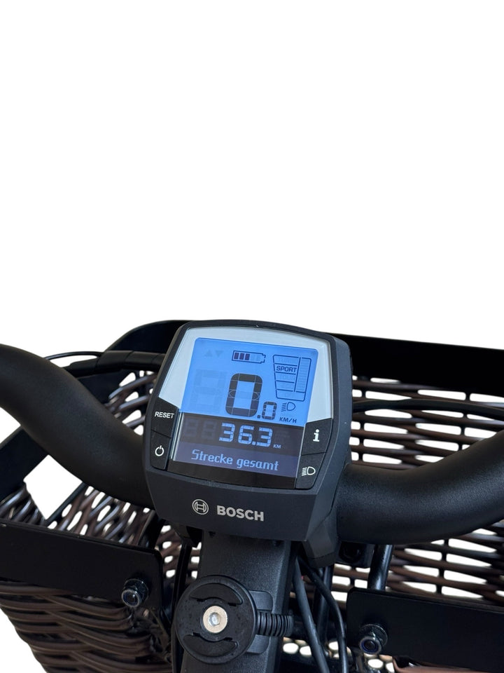 Riese & Müller Swing Automatic E-Bike Refurbished Gebruikte fiets 