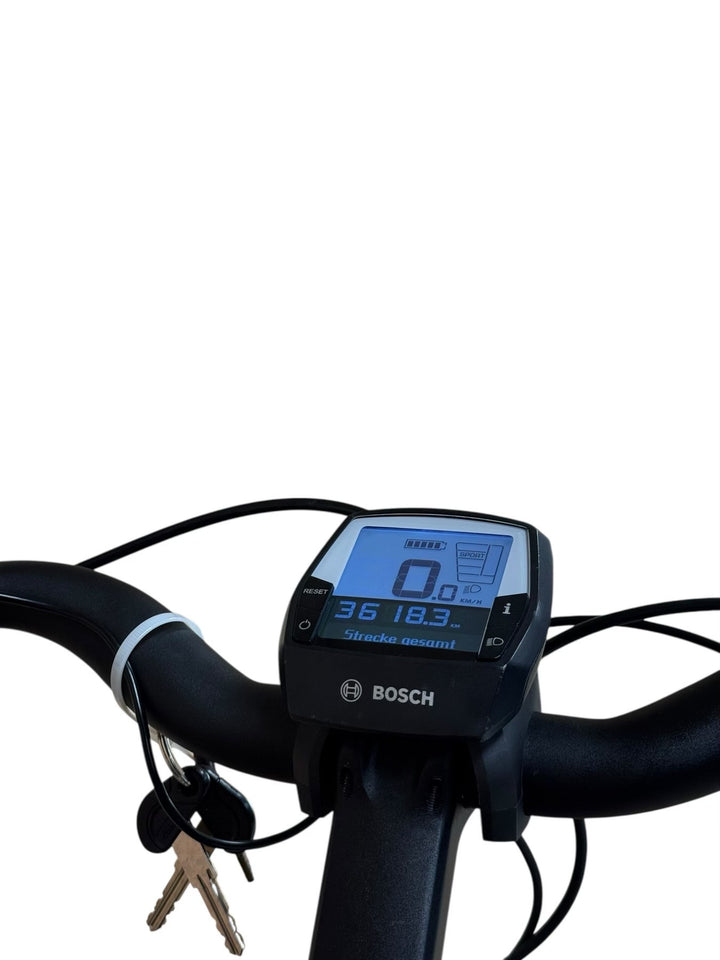 Riese & Müller Swing Rücktritt E-Bike Refurbished Gebruikte fiets 