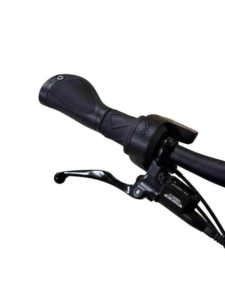 Riese & Müller Tinker2 Vario E-Bike Refurbished Gebruikte fiets