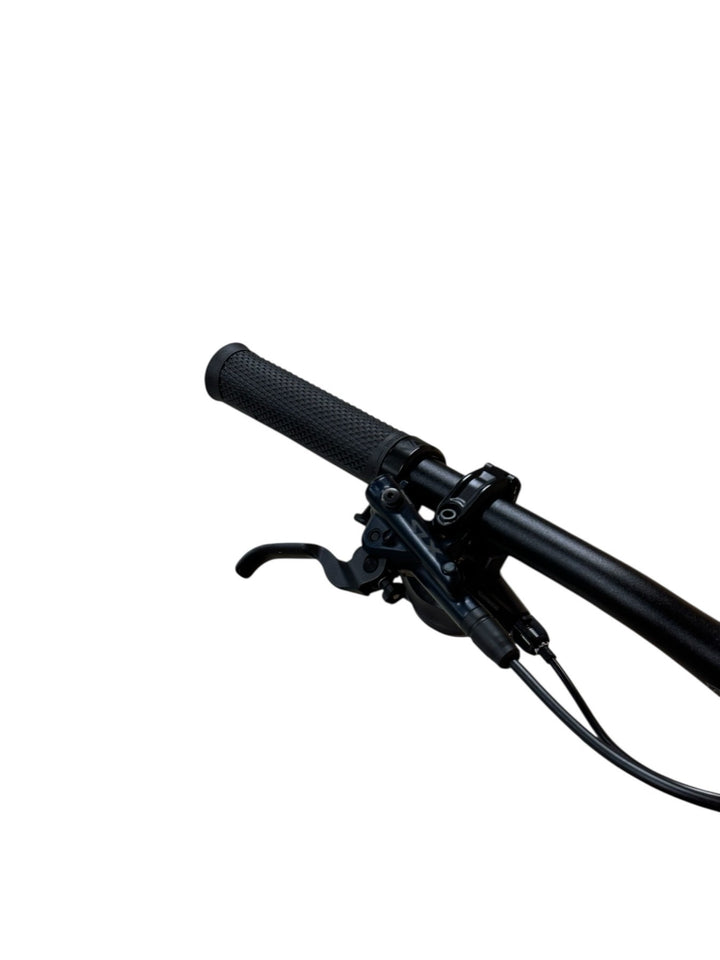 Rose Root Miller Plus 3 29 inch E-Mountainbike Refurbished Gebruikte fiets