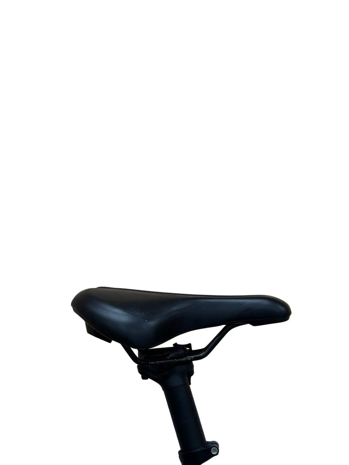 Rose Sneak Plus EQ E-Bike Refurbished Gebruikte fiets