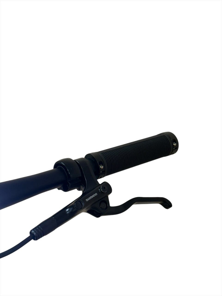 Rose Sneak Plus EQ E-Bike Refurbished Gebruikte fiets