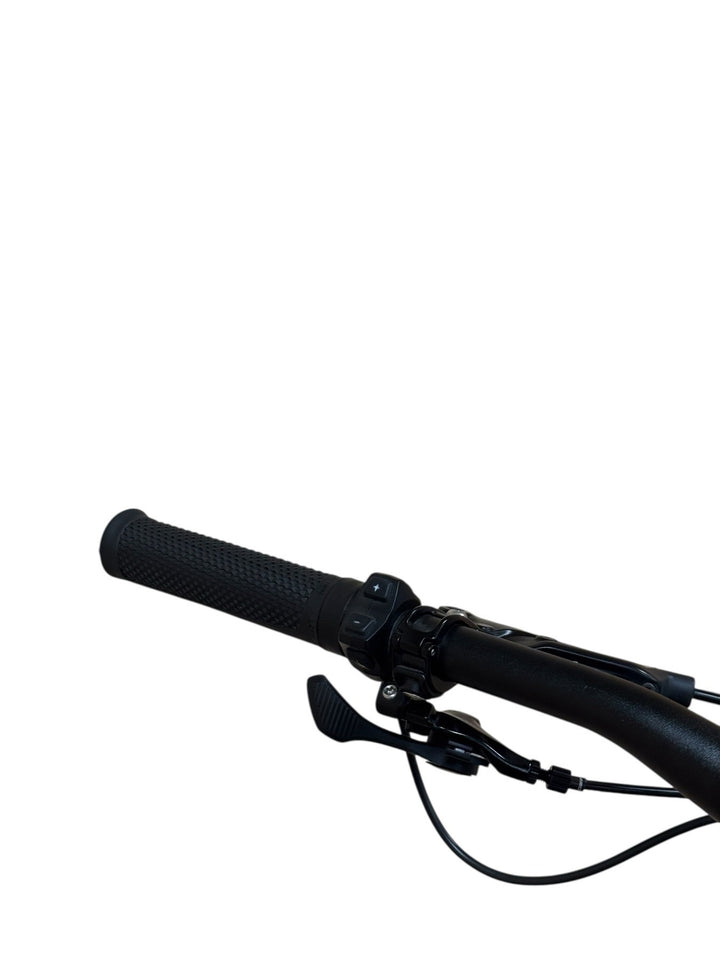 Specialized Turbo Levo Alloy 29 inch E-Mountainbike Refurbished Gebruikte fiets 