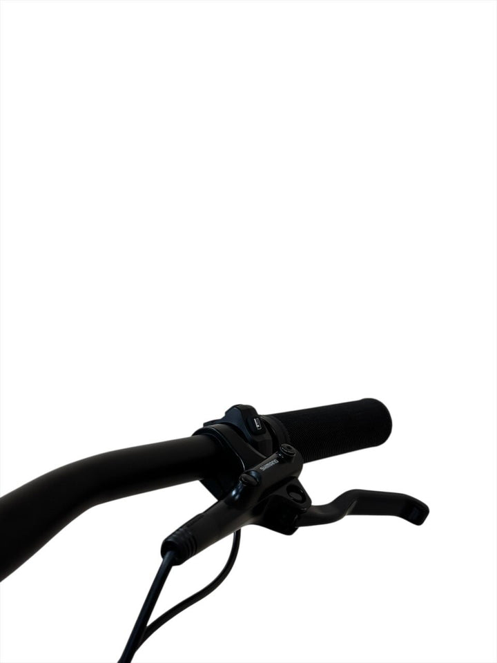 Specialized Turbo Tero 3.0 29 inch E-Mountainbike Refurbished Gebruikte fiets