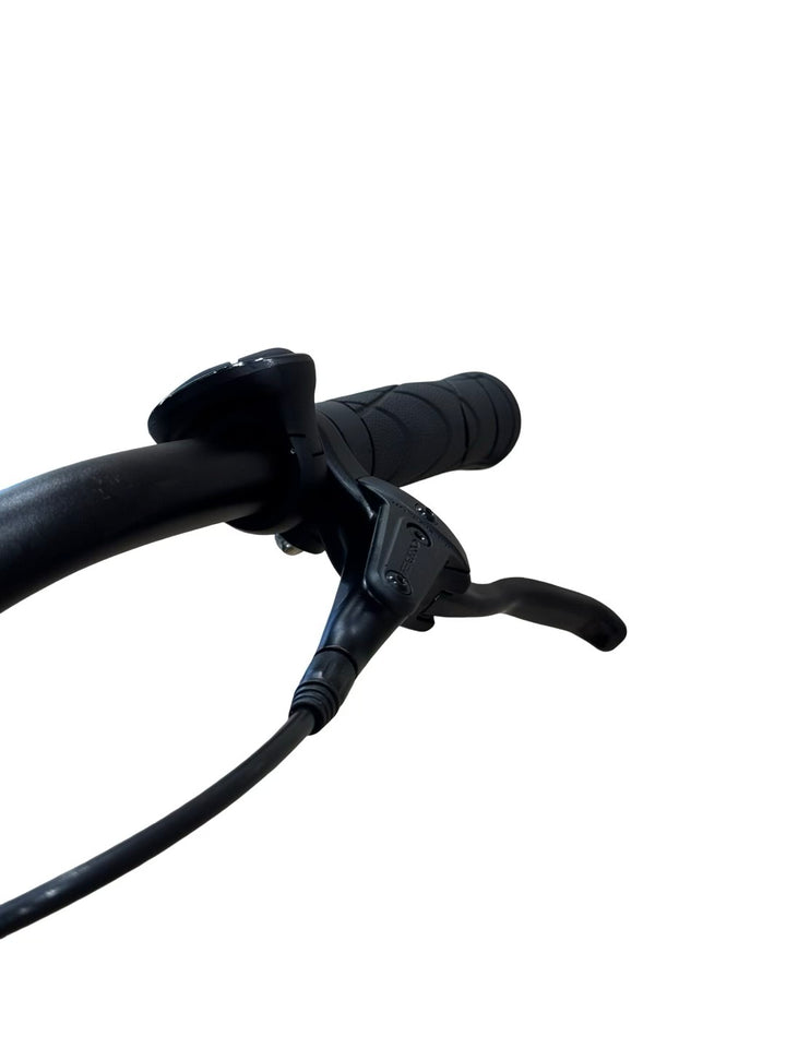 Tenways AGO T E-Bike Refurbished Gebruikte fiets 