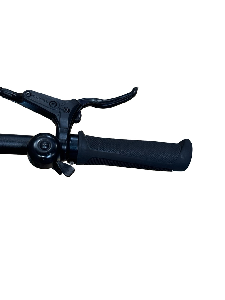 Tenways CGO600 Pro E-Bike Refurbished Gebruikte fiets 