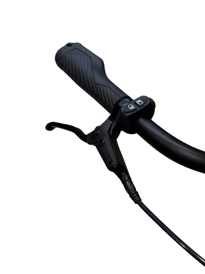 Tenways CGO800S E-Bike Refurbished Gebruikte fiets 