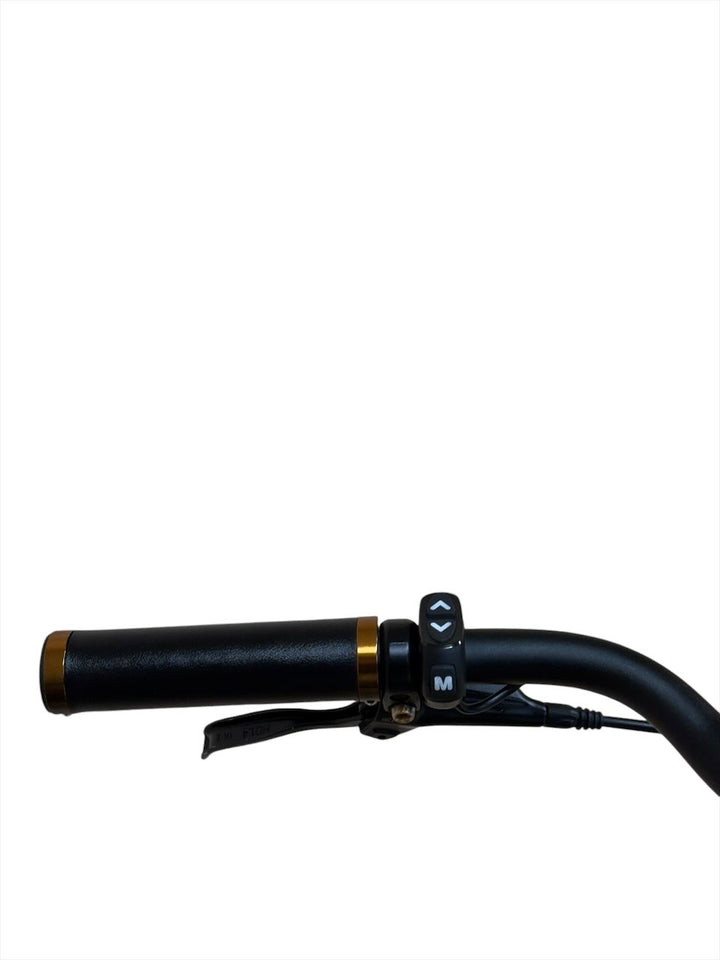 Tenways CGO800S E-Bike Refurbished Gebruikte fiets 