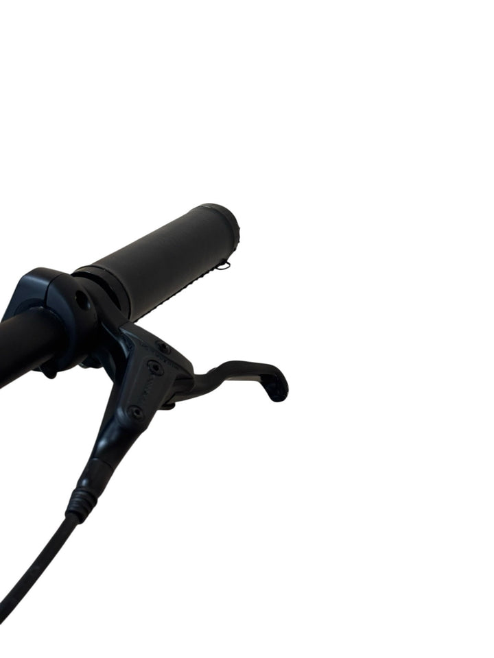 Tenways CGO800S E-Bike Refurbished Gebruikte fiets