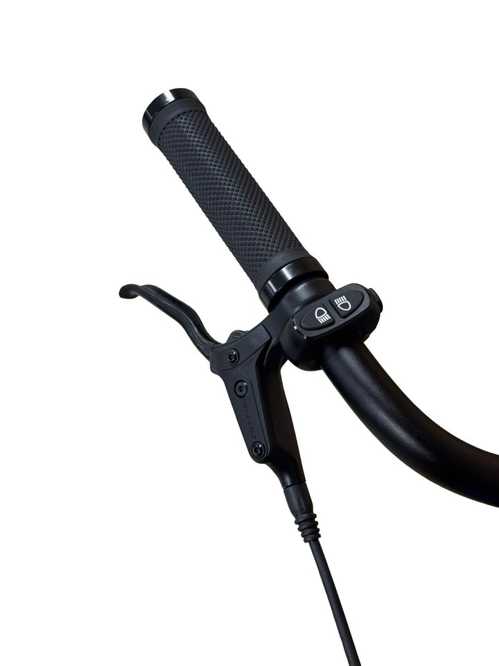 Tenways CGO800S E-Bike Refurbished Gebruikte fiets