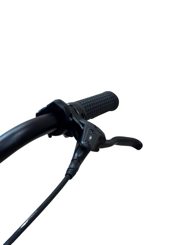 Tenways CGO800S E-Bike Refurbished Gebruikte fiets 