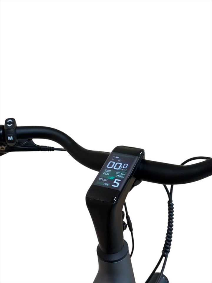 Tenways CGO800S E-Bike Refurbished Gebruikte fiets 