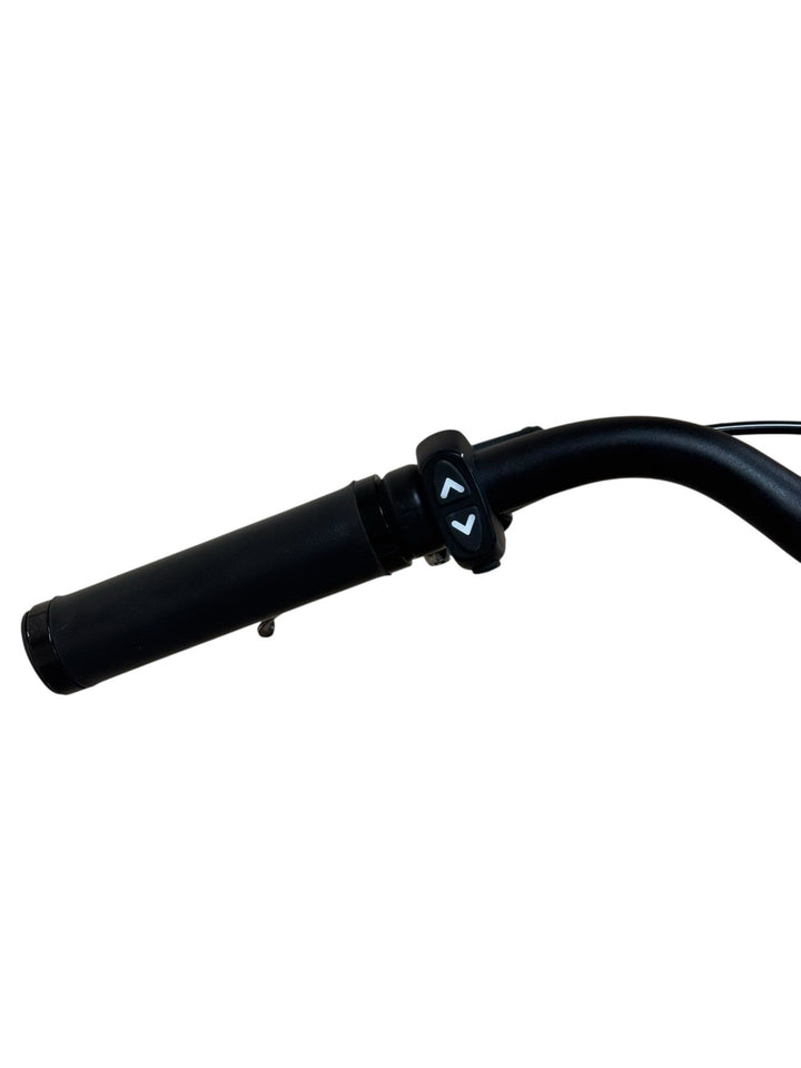 Tenways CGO800S E-Bike Refurbished Gebruikte fiets