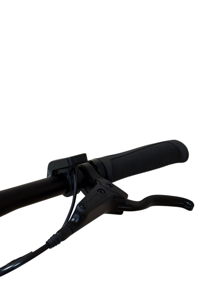 Tenways CGO 600 Pro E-Bike Refurbished Gebruikte fiets