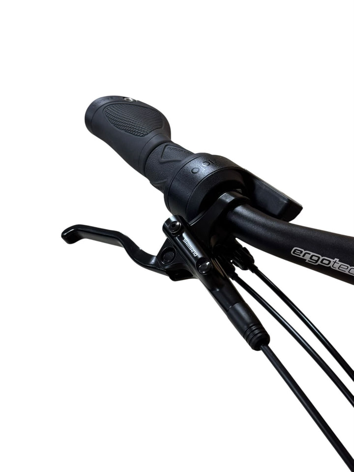 Velo de Ville AEB 800 Enviolo TR E-Bike Refurbished Gebruikte fiets 