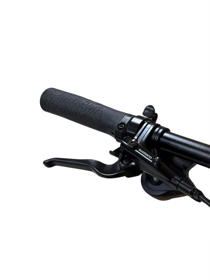 Winora Yucatan 12 Wave E-Bike Refurbished Gebruikte fiets 