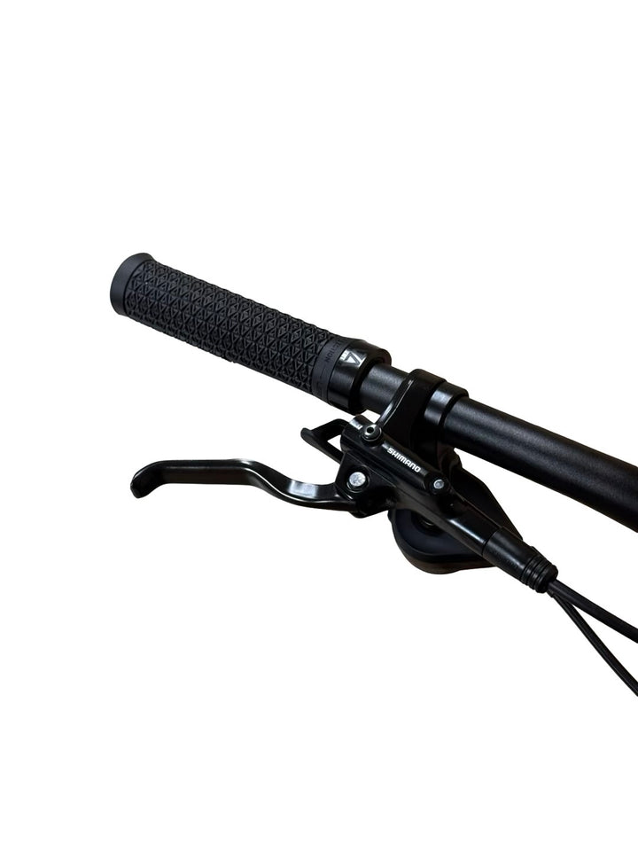 Cube Reaction Hybrid Pro 625 29 pouces VTT électrique