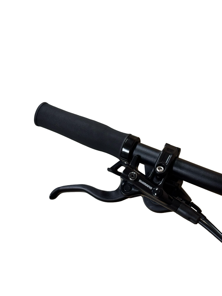 Cube Reaction Hybrid Race 625 29 инчов Е-планински велосипед