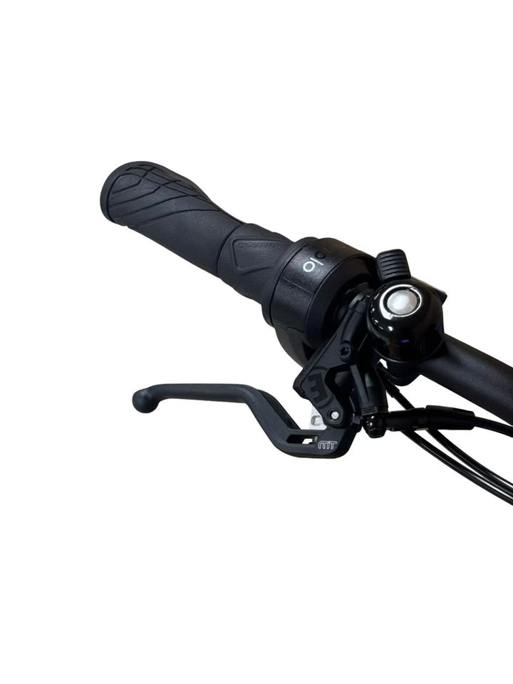 Riese & Müller Charger4 GT Vario Bicicletas eléctricas