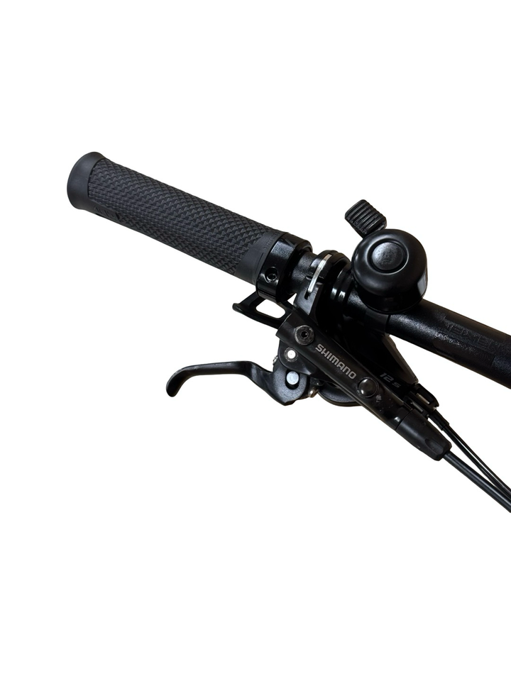 Cube Stereo Hybrid 120 SL 750 29 inčni E-brdski bicikl