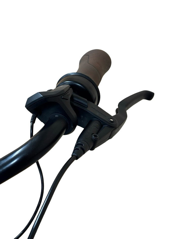 Gazelle Arroyo C7+ HMB E-jalgrattad