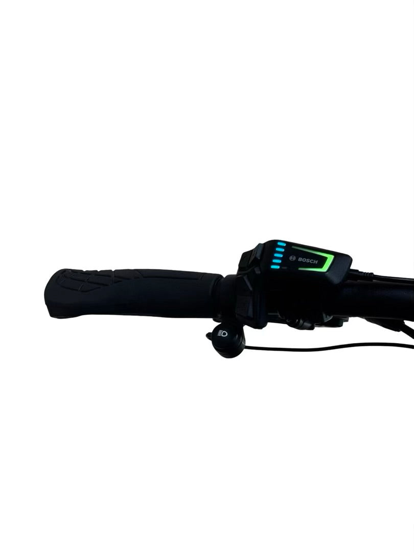 Riese & Müller Charger4 GT Vario Bicicletas eléctricas