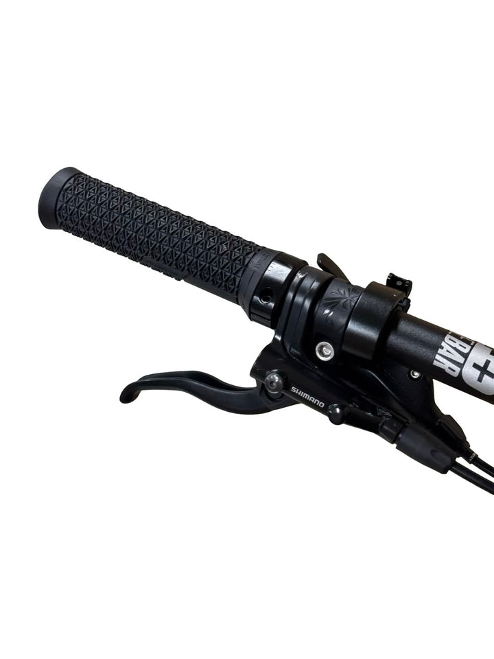 Haibike AllMtn 3 E-Mountainbike