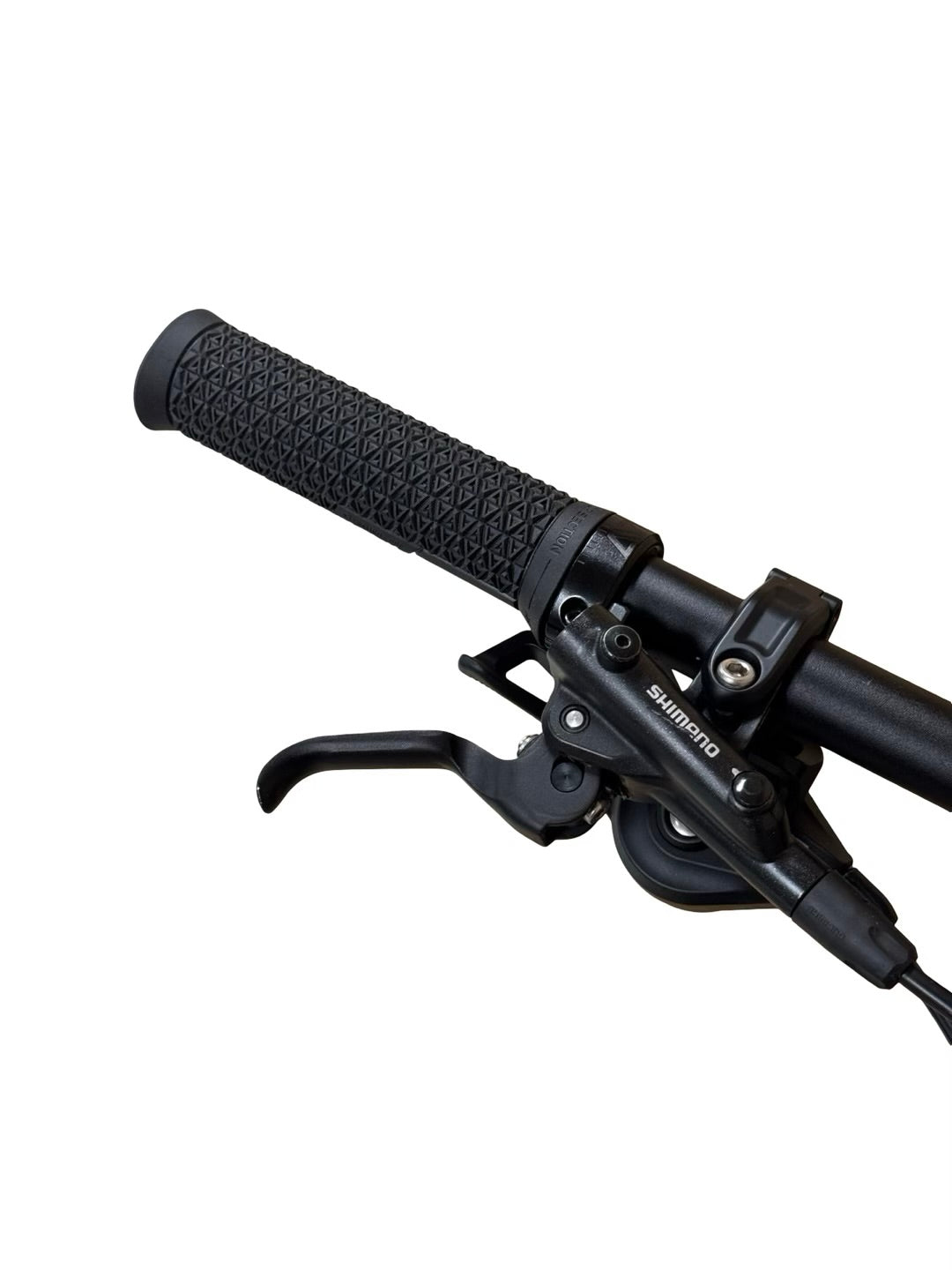 Bulls Sonic Evo AM SL 1 29 inci bicicletă de munte electrică