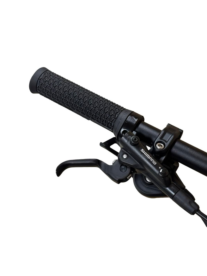 Bulls Sonic Evo AM SL 1 29 inci bicicletă de munte electrică