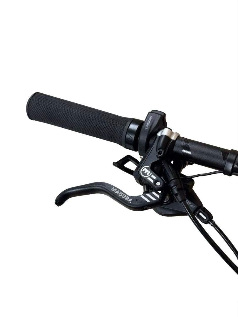 Conway eWME 429 29 palcový elektrické horské bicykel