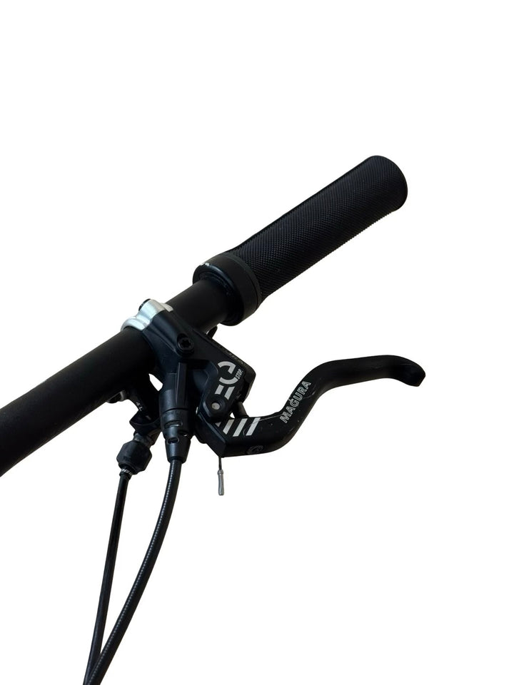 Conway eWME 429 29 palčno električno gorsko kolo