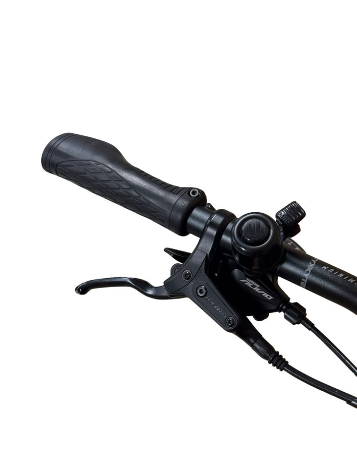 Bulls Landscape Evo Vélo électrique