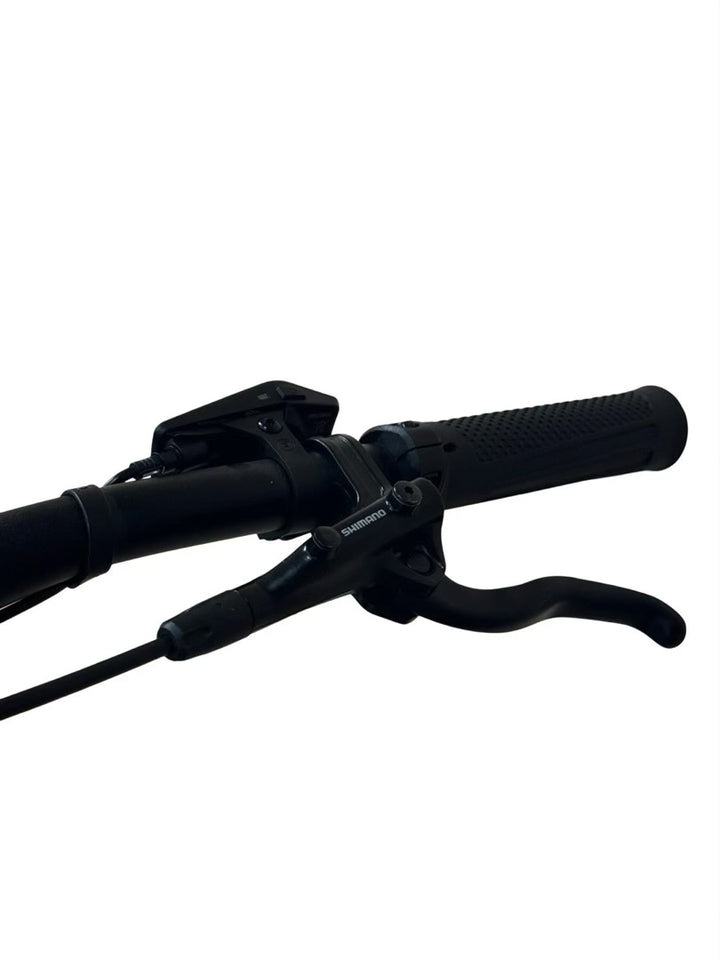 Cube Reaction Hybrid Race 750 29 collas e-rounain velosipēds