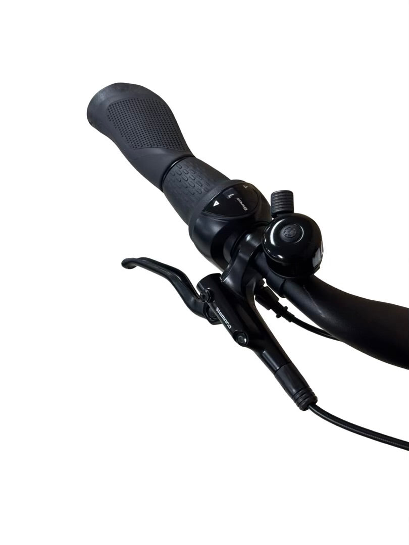 Bergamont E-Horizon N8 CB bicicleta eléctrica