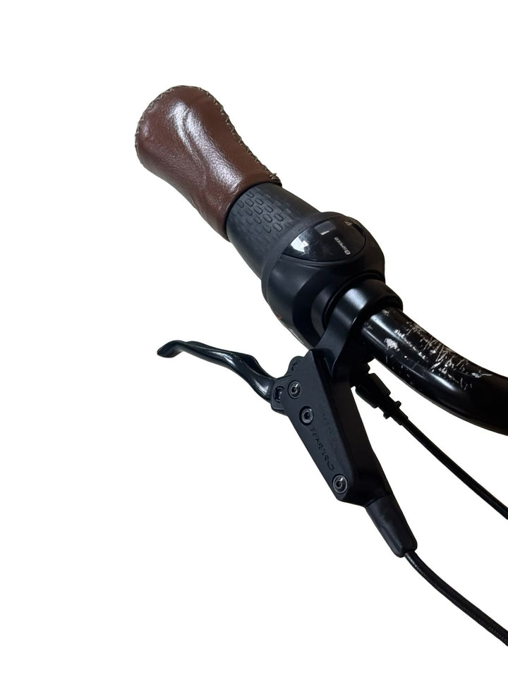 Gazelle Arroyo C8 HMB Elite E-Bike