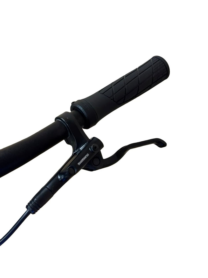 Rose Backroad Plus Urban elektriline gravelratas