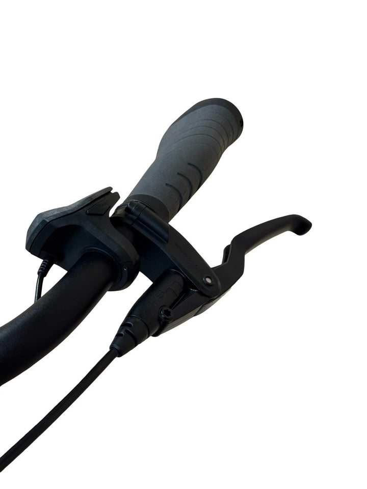 Kalkhoff Agattu 3.B Excite E-cykel