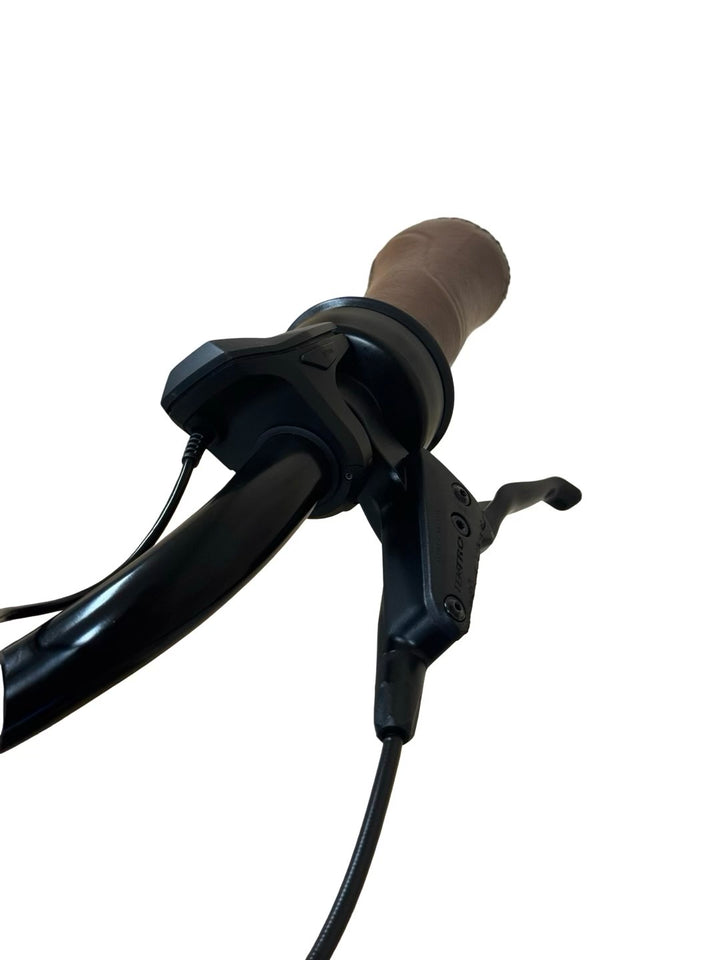 Gazelle Arroyo C8 HMB Elite E-Bike