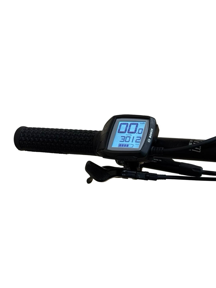 Haibike AllMtn 3 E-Mountainbike