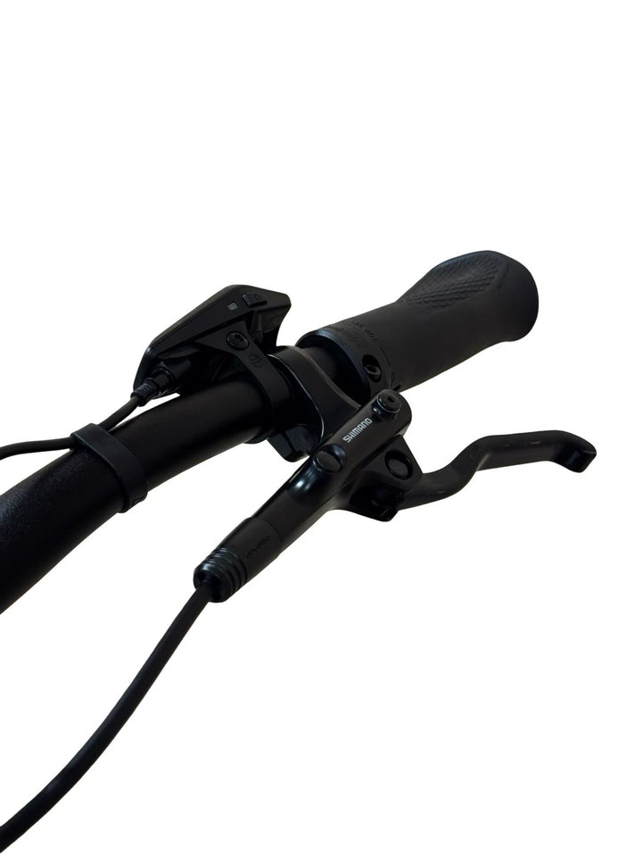 Cube Kathmandu Hybrid One 750 elektrický bicykel