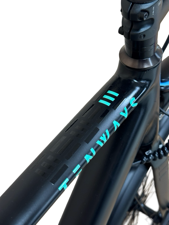 Tenways CGO600 E-Bike